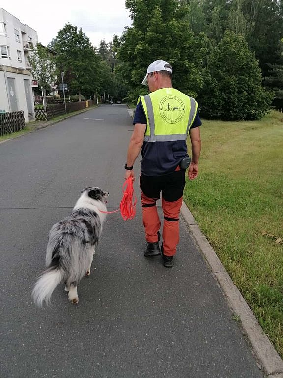 Marco Schüttler mit Border Collie Mylo beim Mantrailing-Training in Thüringen
